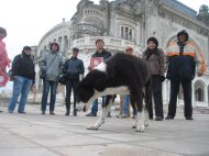 Primăria Constanța interzice manifestările în zona Cazino doar unora (galerie foto + document)  