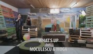 Melodia Zilei What\'s Up feat. Horia Moculescu şi Marius Moga – Tânăr şi nebun (Trăieşte-ţi viaţa)