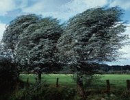 Codul galben de vânt puternic extins pentru Dobrogea până la ora 22.00 