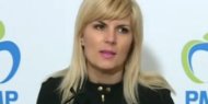 Elena Udrea „Afirm ferm - nu am nicio implicare în afacerea Microsoft”