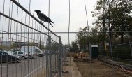 Afacere dezvoltată pe teren retrocedat Au început lucrările de extindere a centrului comercial ridicat în Parcul Tăbăcărie (galerie foto)