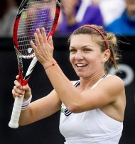 Meci demonstrativ cu Simona Halep, scos la licitaţie cu ocazia Balului Nataţiei  
