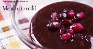 Preparate Culinare by Poliana Melasa de rodii
