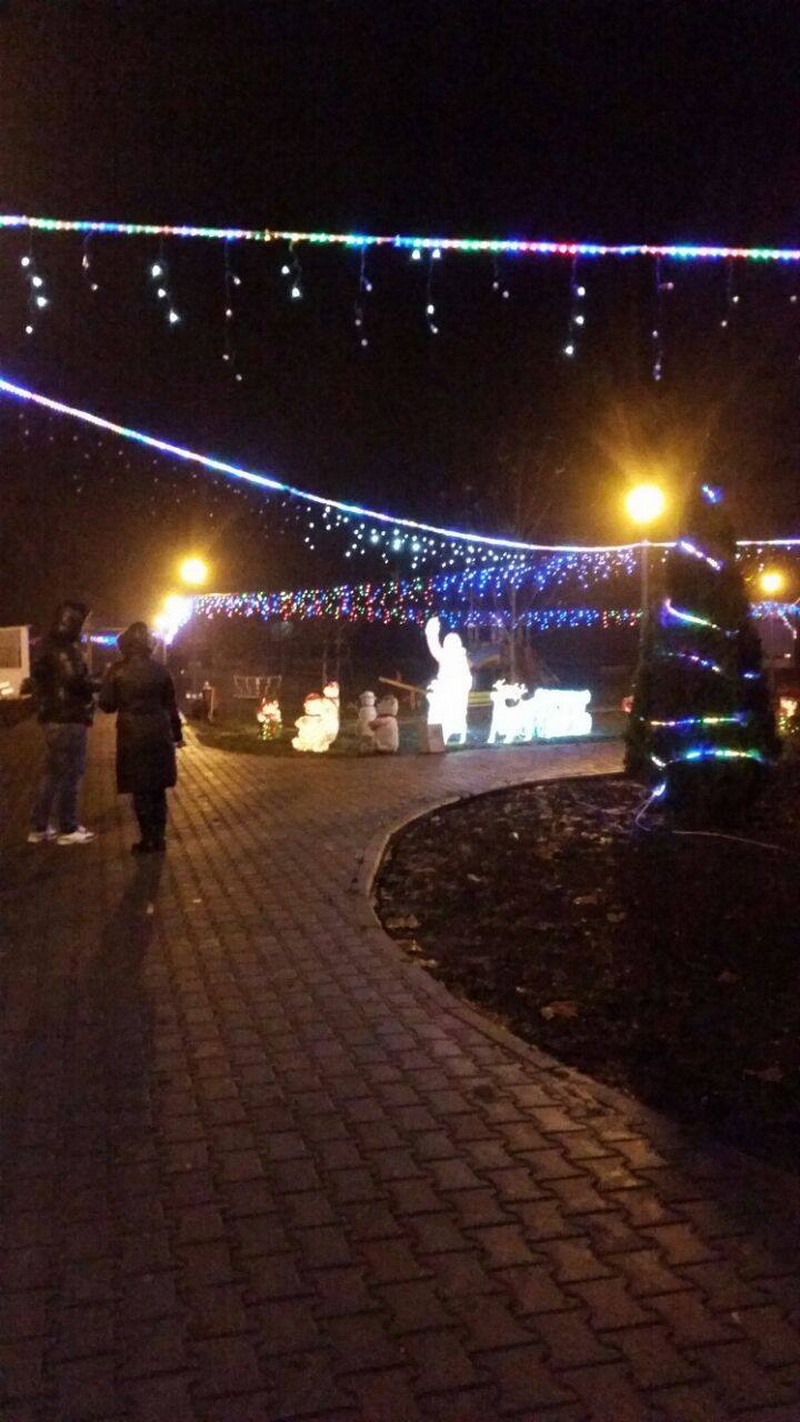 povestea unui craciun magic la mihail kogalniceanu parcul tineretului a imbracat straie luminoase de