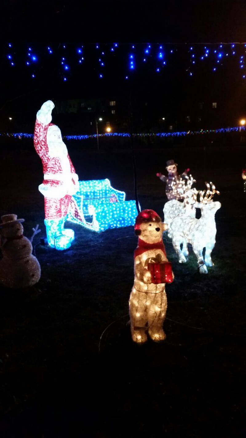 povestea unui craciun magic la mihail kogalniceanu parcul tineretului a imbracat straie luminoase de