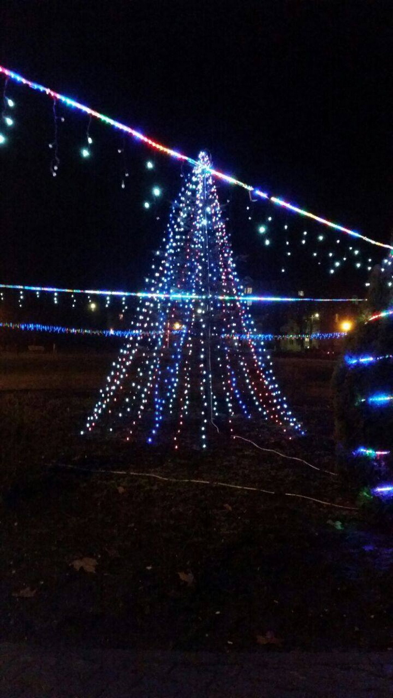 povestea unui craciun magic la mihail kogalniceanu parcul tineretului a imbracat straie luminoase de