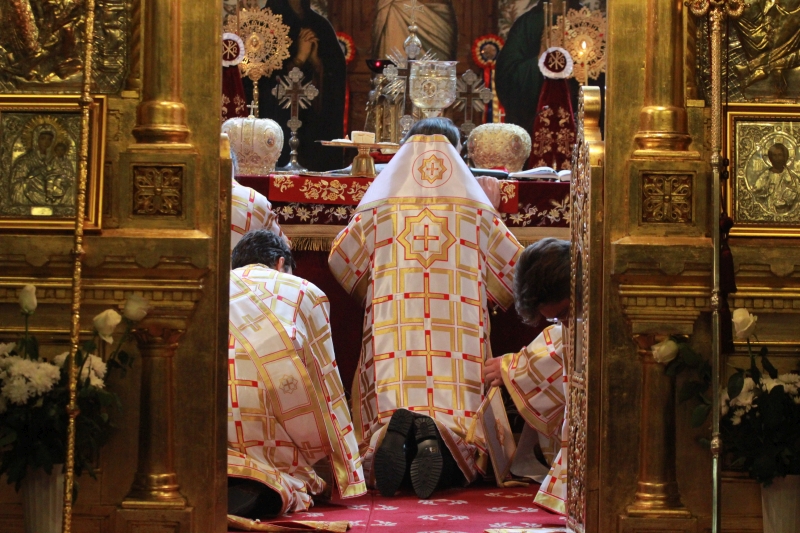 fotoreportaj zeci de preoti si enoriasi i au urat azi viata lunga arhiepiscopului tomisului 524646