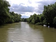 Elevi din toate judeţele dunărene participă la o acţiune de ecologizare a fluviului