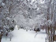 8 ianuarie 2015 Ger de crapă pietrele. Temperaturi rar întâlnite în județul Constanța   