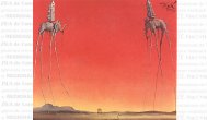 Pictura zilei Elefanţii de Salvador Dali