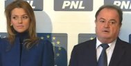 Consiliul Naţional al PNL a aprobat hotărârile prin care sunt înfiinţate Comitetele Executive Judeţene