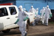OMS Ebola - peste 8.000 de decese la nivel mondial