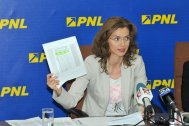 Conducerea noului PNL se reuneşte luni pentru a discuta paşii fuziunii şi strategia politică
