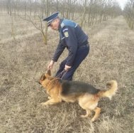 Copilul surdo-mut dispărut, descoperit în apropierea unui canal de irigaţii (galerie foto)