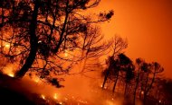 Două oraşe evacuate din cauza unui incendiu care a distrus 40 de imobile
