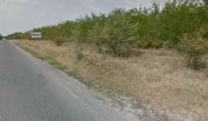 Jurnalul.ro „Dobrogea împădurită din pix. Dezastrul pe banii publici şi păduri inexistente“ 