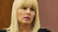 Ce avere are Elena UdreaUltima declaraţie depusă de deputat, aflat acum în arest 