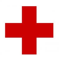 Apel umanitar Magistraţii încearcă să salveze viaţa procuroarei Silvia Pietraru (document)