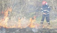 UPDATE 1. Incendiu vegetaţie uscată Primarul din Cuza Vodă a solicitat pompierii 