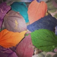 voceaconstantei.ro Frunze colorate de ciocolată