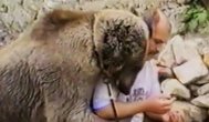 Funny video Animale la atac