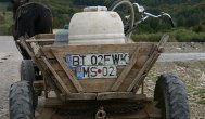 Banc Ion coboară pe Feleac cu căruţa ...