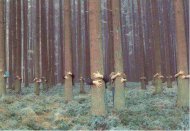 Din grija şi dragoste pentru mediu, constănţenii se adună în Parcul Tăbăcărie