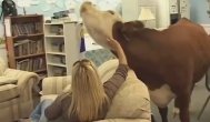 Funny video Animale care se cred căţeluşi