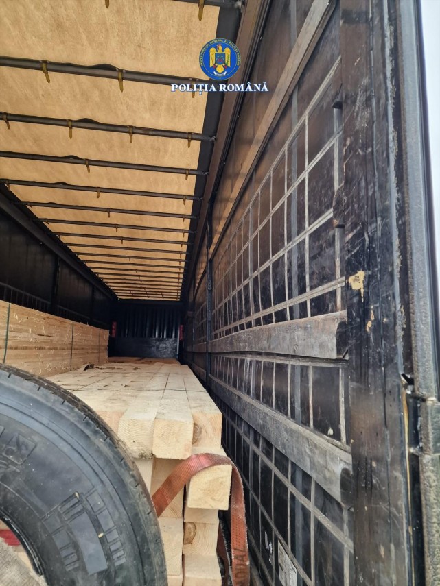 foto transport ilegal de material lemnos depistat la vama veche judetul constanta 926177 foto transport ilegal de material lemnos depistat la vama veche judetul constanta 926177