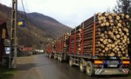 Ştiripesurse.ro Jaful din pădurile României. Zeci de mii de metri cubi de material lemnos confiscaţi