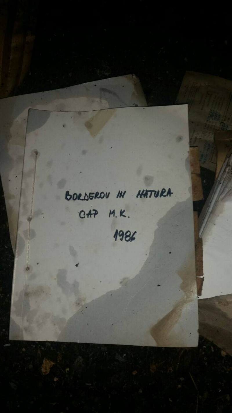 incendiu la o anexa a primariei mihail kogalniceanu anca belu erau niste registre ale fostului cap urmau
