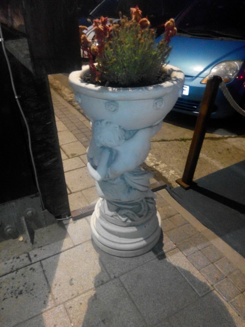 la ankora se creeaza confuzii daca nu ai facut cursuri de bucatar galerie foto 556755