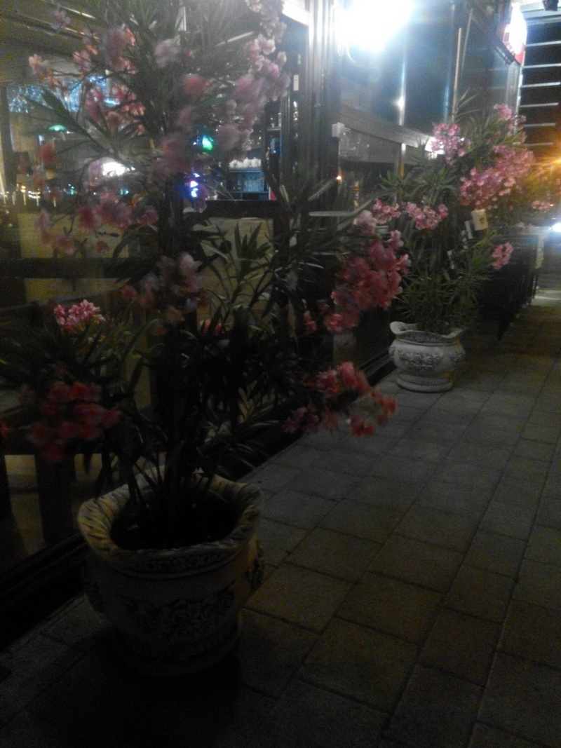 la ankora se creeaza confuzii daca nu ai facut cursuri de bucatar galerie foto 556755