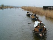 Asociaţia “Braţul Borcea” Feteşti şi SC Fisher Group SRL Constanţa, noi centre de primă vânzare a peştelui