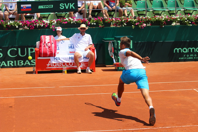 astazi joaca horia tecau simona halep alaturi de romania in meciul de cupa davis cu slovacia de la mamaia