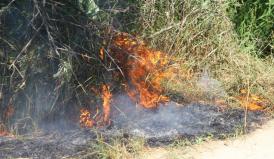 Incendiu pe strada Mihai Eminescu din Constanţa