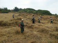 După o serie de incendii de vegetație Primăria Constanța a igienizat faleza din spatele Casei Căsătoriilor