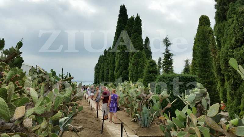 balcic coltul de rai de la tarmul marii negre 558867