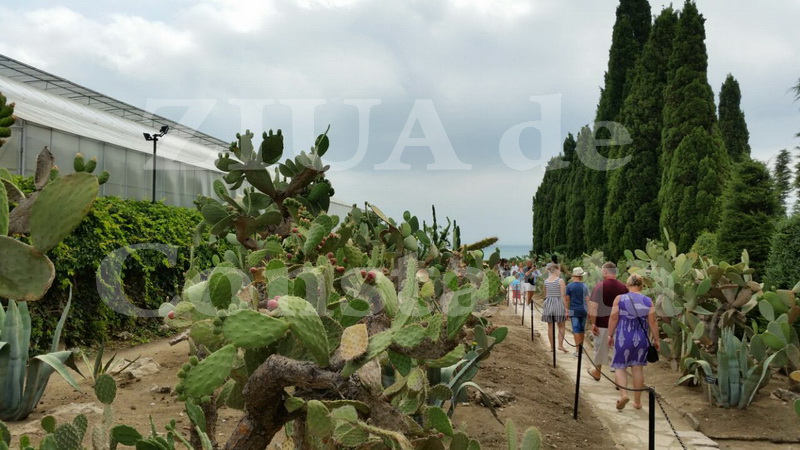 balcic coltul de rai de la tarmul marii negre 558867