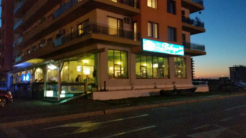 la restaurantul beluga pestele este adus direct din navoadele pescarilor galerie foto 559290