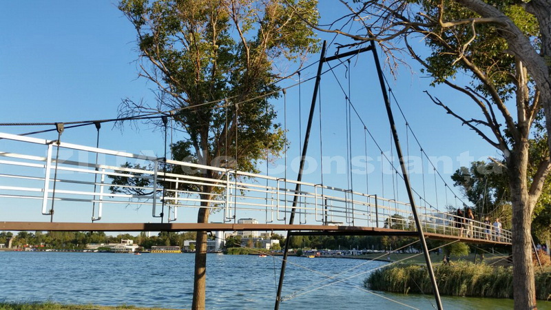 o oaza de liniste inconjurata de caini vagabonzi in parcul tabacarie galerie foto 559873