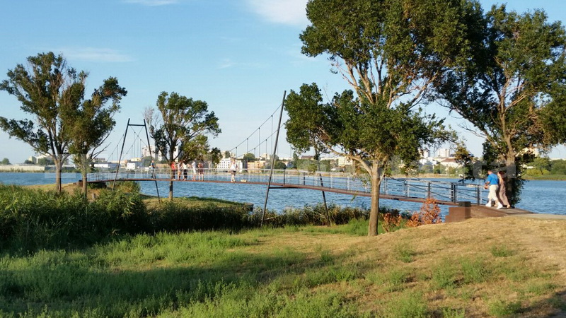 o oaza de liniste inconjurata de caini vagabonzi in parcul tabacarie galerie foto 559873