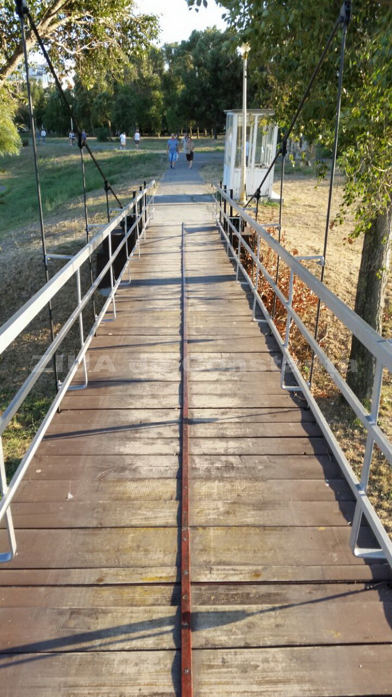o oaza de liniste inconjurata de caini vagabonzi in parcul tabacarie galerie foto 559873