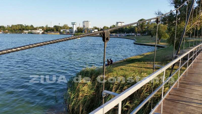 o oaza de liniste inconjurata de caini vagabonzi in parcul tabacarie galerie foto 559873