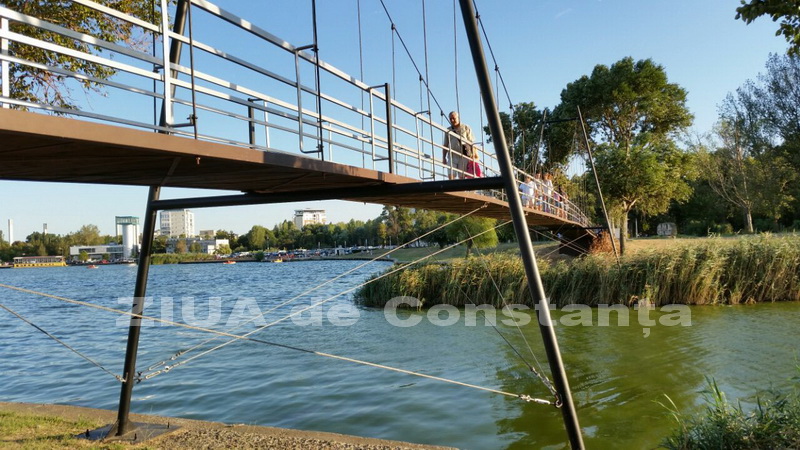 o oaza de liniste inconjurata de caini vagabonzi in parcul tabacarie galerie foto 559873
