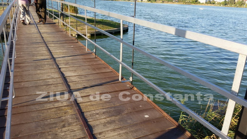 o oaza de liniste inconjurata de caini vagabonzi in parcul tabacarie galerie foto 559873