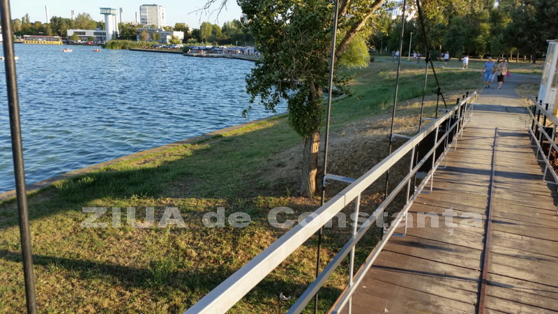 o oaza de liniste inconjurata de caini vagabonzi in parcul tabacarie galerie foto 559873