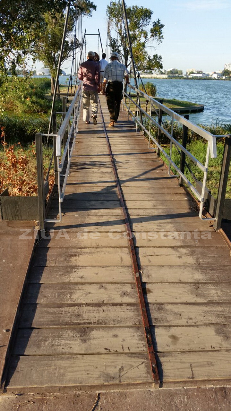 o oaza de liniste inconjurata de caini vagabonzi in parcul tabacarie galerie foto 559873
