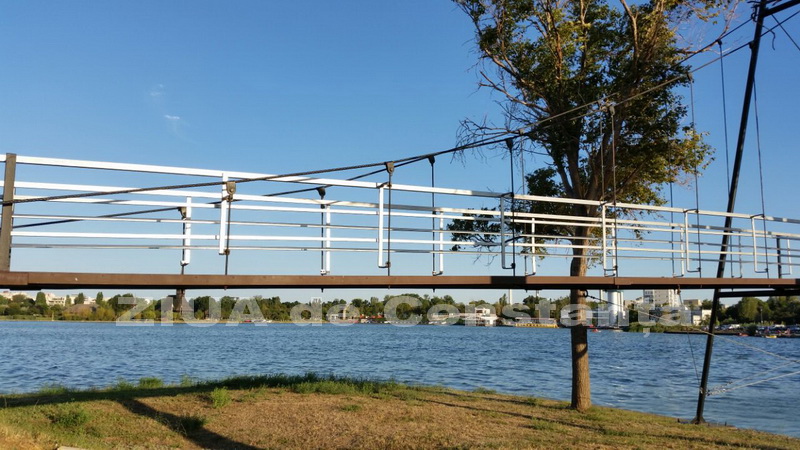 o oaza de liniste inconjurata de caini vagabonzi in parcul tabacarie galerie foto 559873