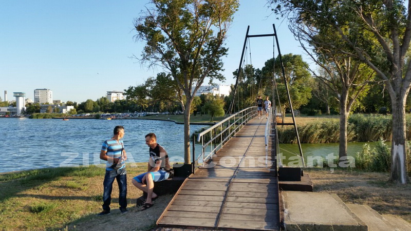 o oaza de liniste inconjurata de caini vagabonzi in parcul tabacarie galerie foto 559873